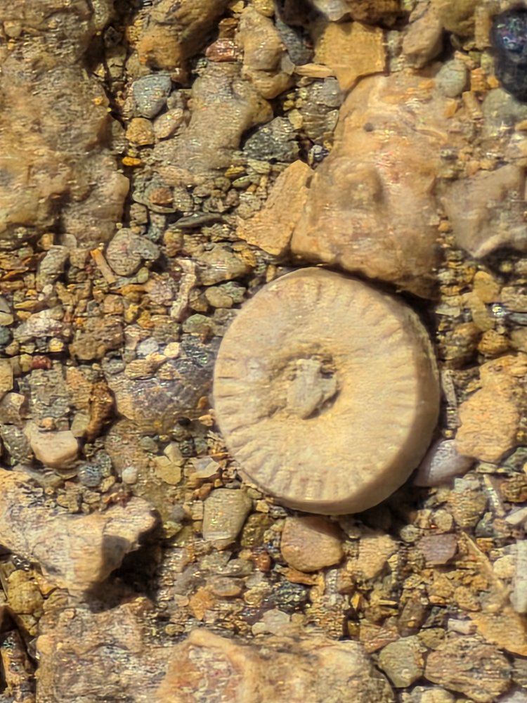 20260413_120711.jpg