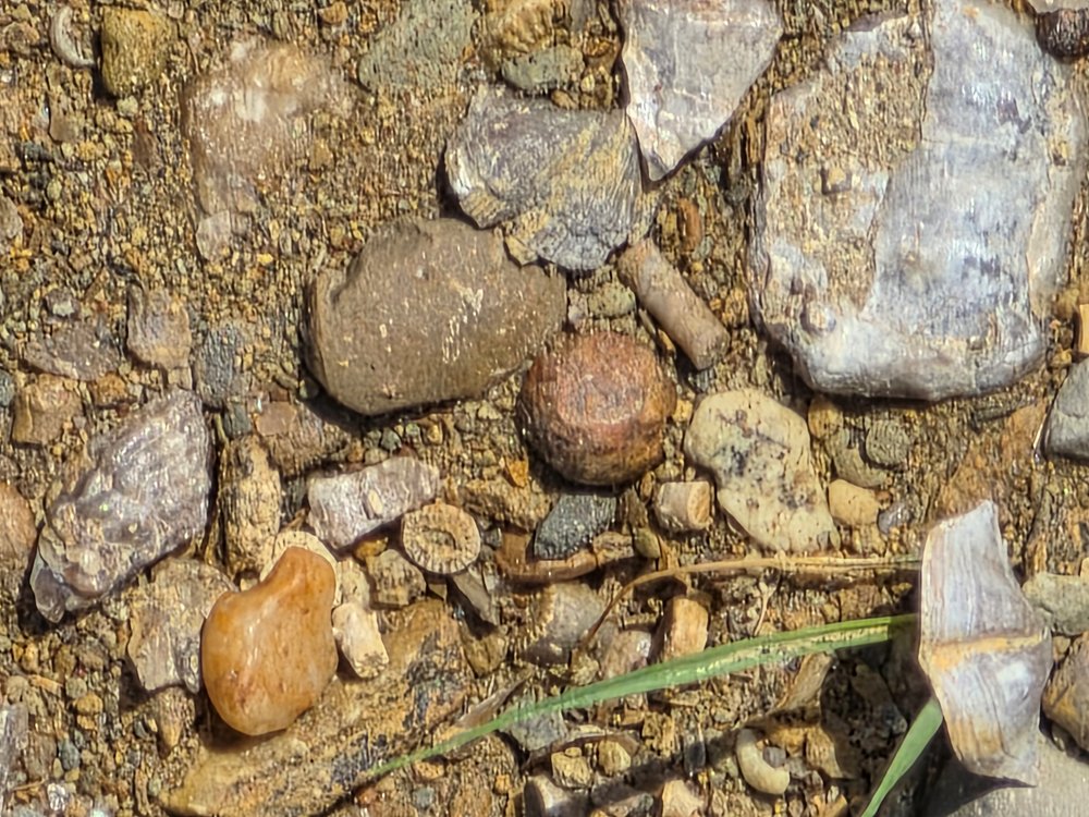 20260413_120903.jpg