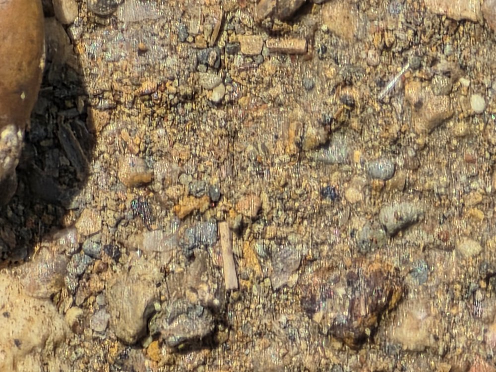 20260413_120959.jpg