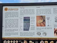 20260413_115651.jpg