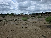 20260413_120116.jpg