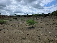 20260413_120129.jpg