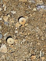 20260413_120604.jpg