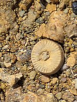 20260413_120711.jpg