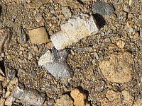 20260413_120802.jpg