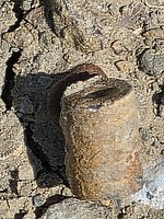 20260413_121239.jpg