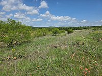 20260413_121511.jpg
