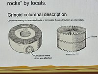 20260413_121553.jpg