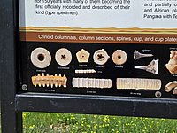 20260413_121616.jpg