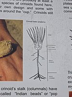 20260413_121649.jpg