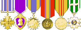 DFC, Purple Heart, Air Medal, National Defense, Vietnam Service, Vietnam Campaign