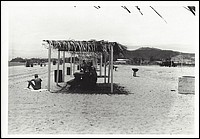 degener-11.jpg