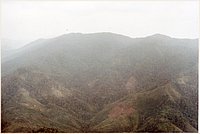 IMG_055.jpg