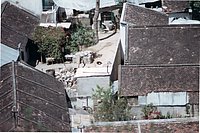 IMG_313.jpg