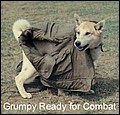 Grumpy_Ready_for_Combat.jpg
