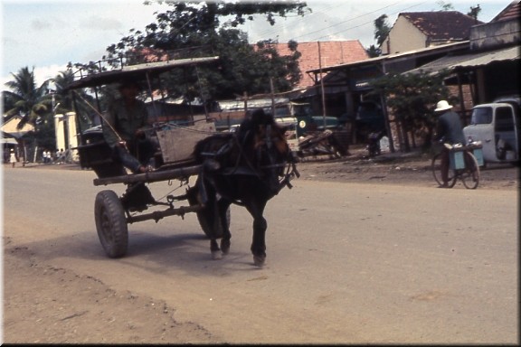 Horsecart at Ninh Hoa.jpg